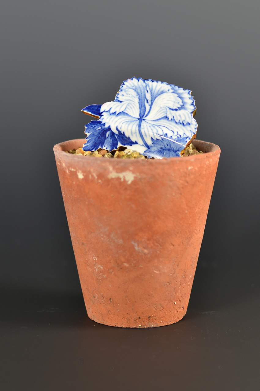 Flower Pots + Cuttings Paul Scott