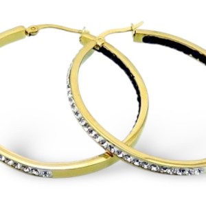 Stainless Steel hoop earring CZ Clear Black