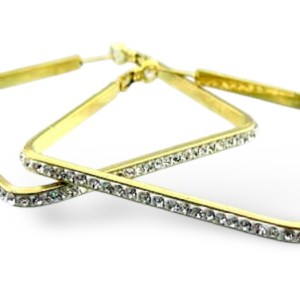 Stainless Steel Hoop Earring ST WT