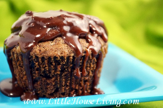 Chocolate Zucchini Cupcakes