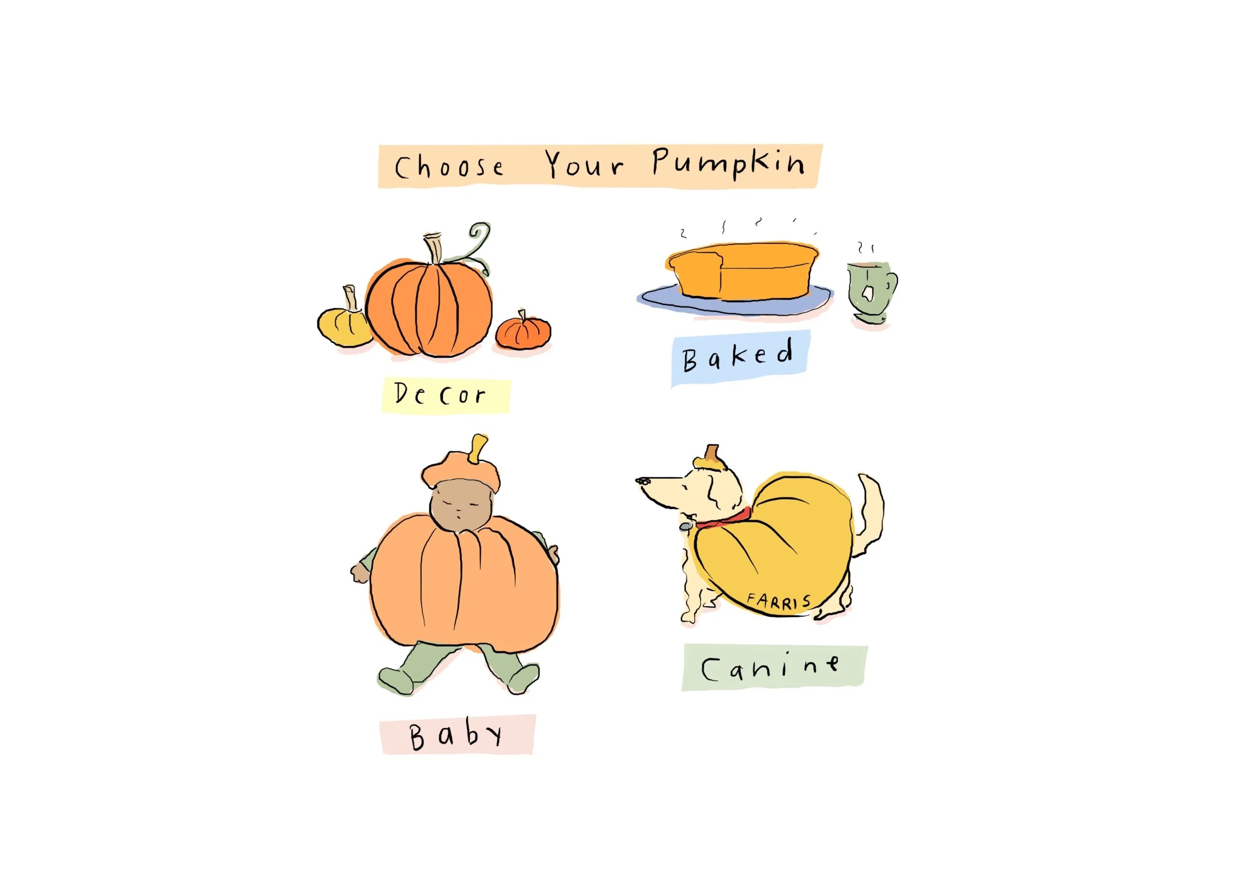 Choose Your Pumpkin | Cup of Jo