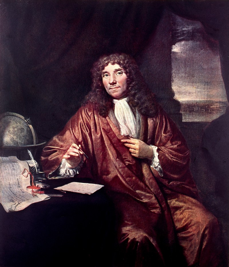 van Leeuwenhoek e l’anatomia microscopica