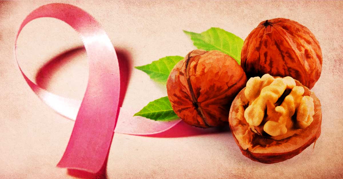 Can Eating Walnuts Reduce The Risk Of Cancer?