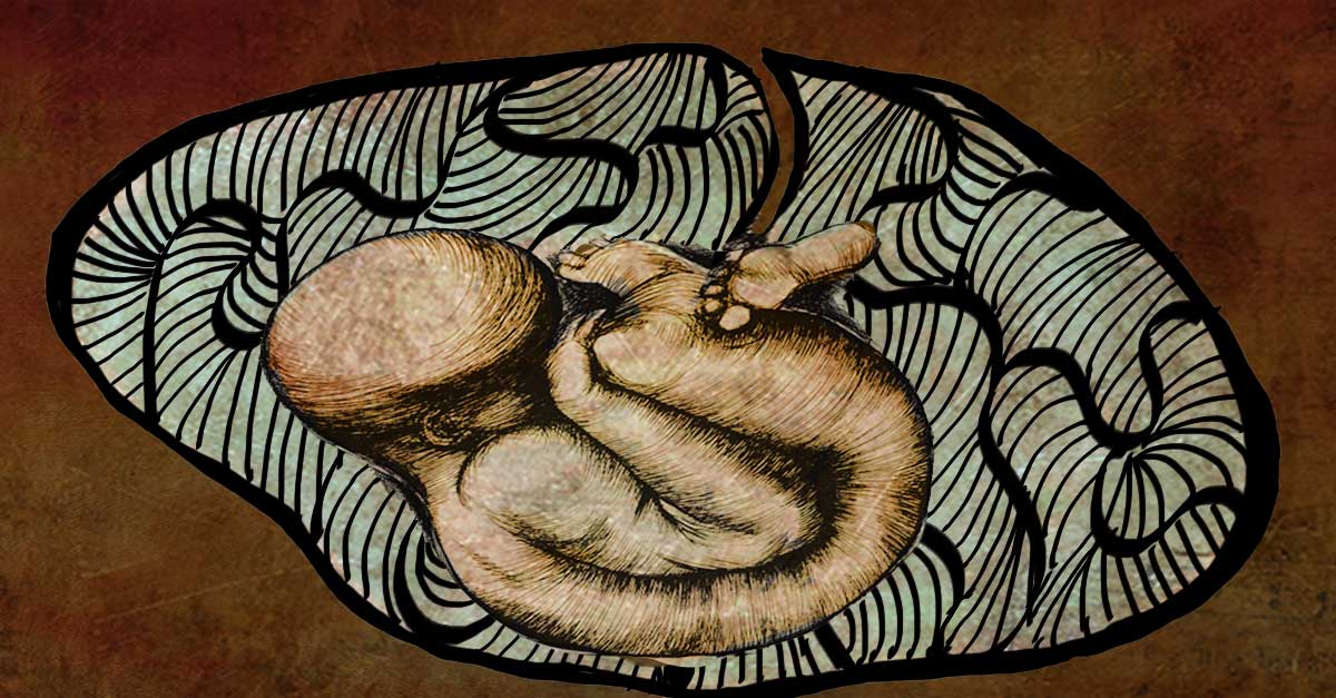 What Is Amniotic Fluid? Its Composition And Functions