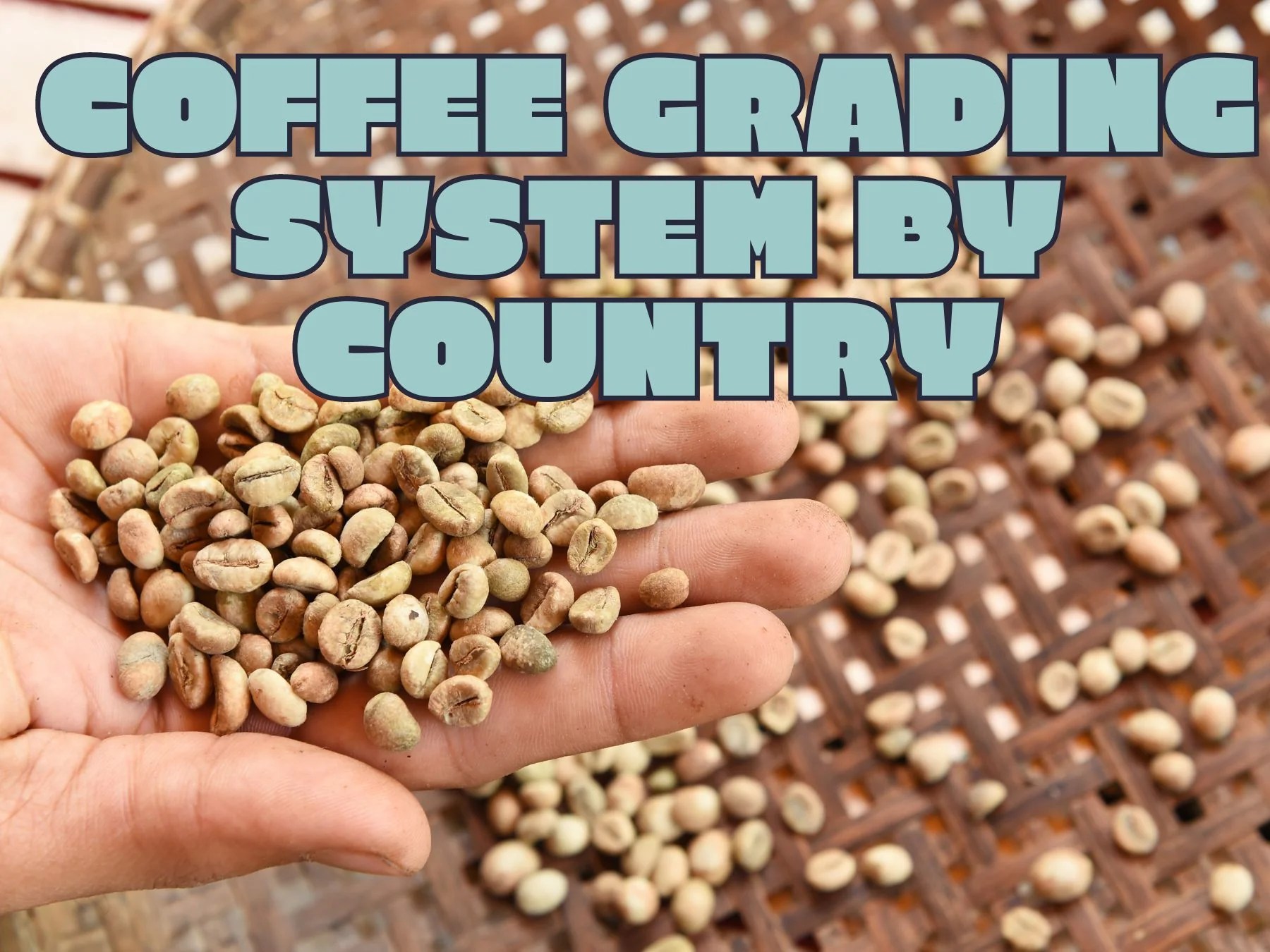 Coffee Grading System The Grades Of Coffee By Country Curiosity Coffee