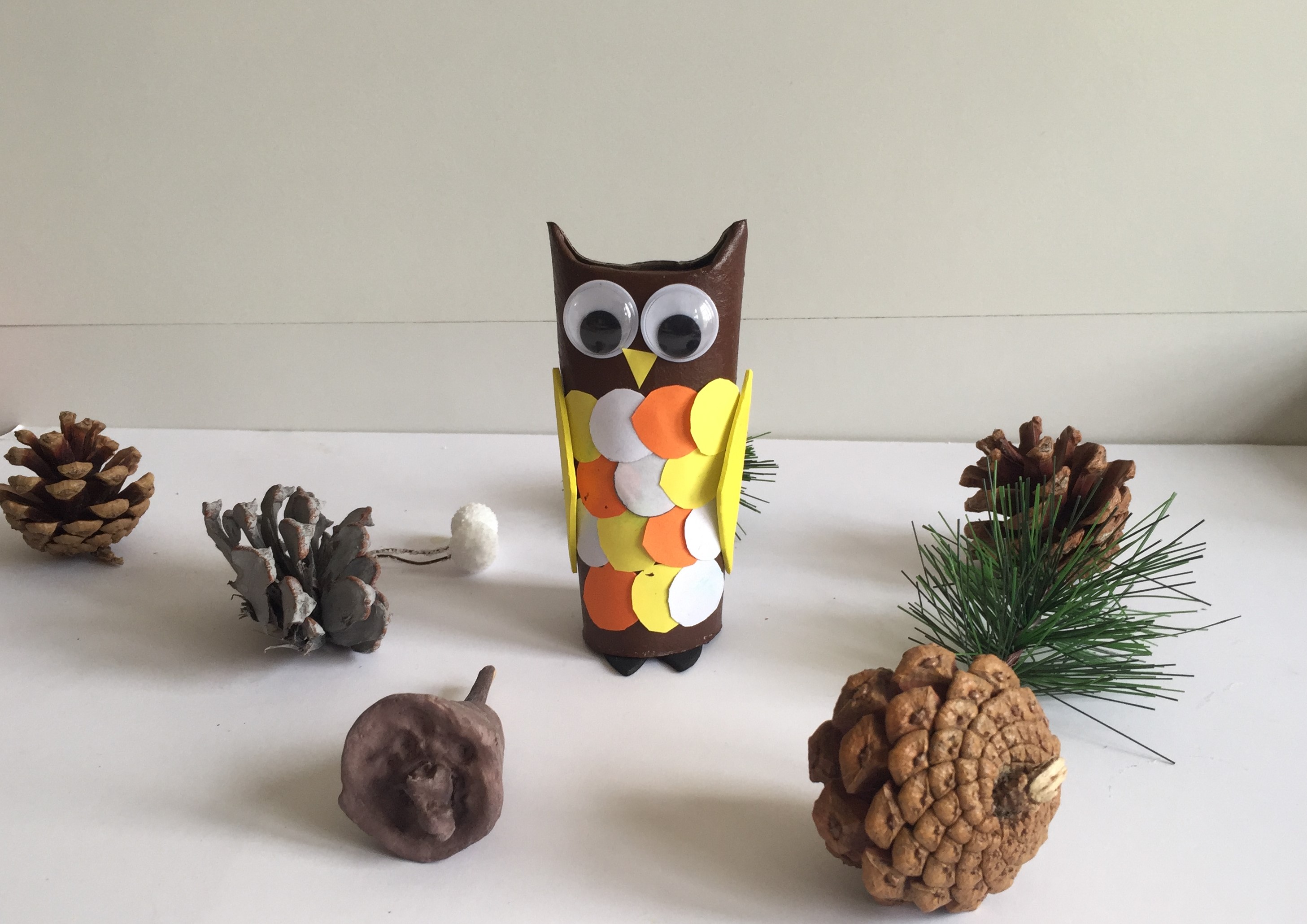 Toilet Paper Roll Owls An Owlsome Craft For Kids Curious And Geeks