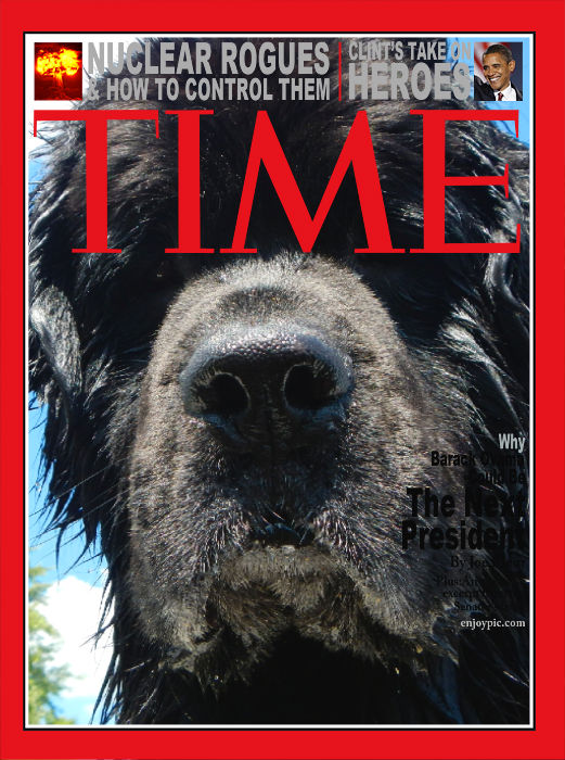 Time's "Person" of the Year