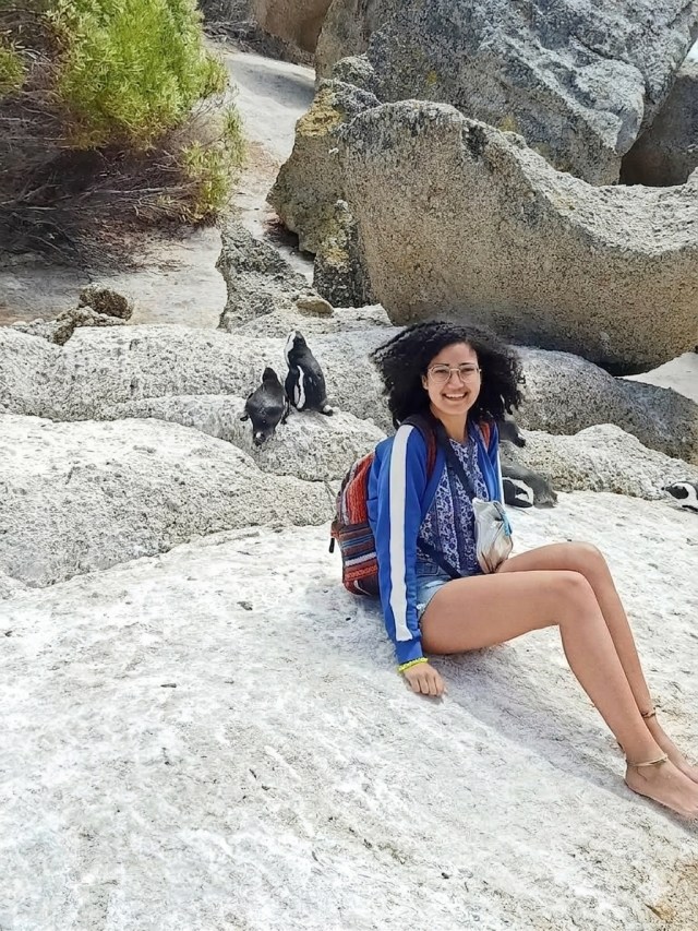 Seeing African Penguins on Boulders Beach as part of the Cape Peninsula Route.