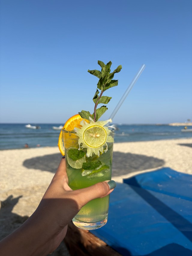 Having a drink on the beach at Abu Dabbab Lodge.