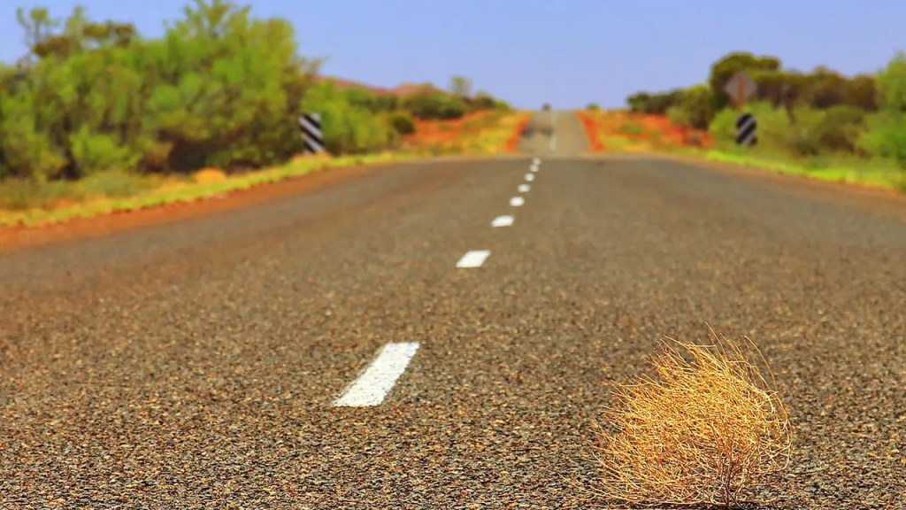 A highway in the desert with a tumbleweed representing a website that isn't converting.