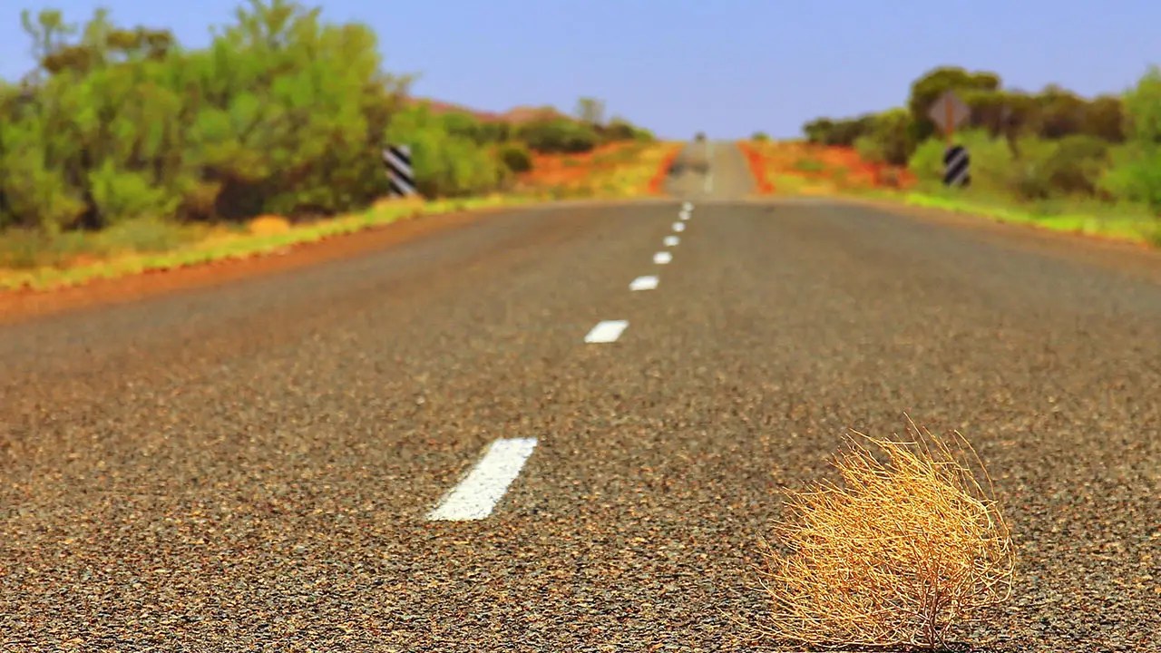 A highway in the desert with a tumbleweed representing a website that isn't converting.