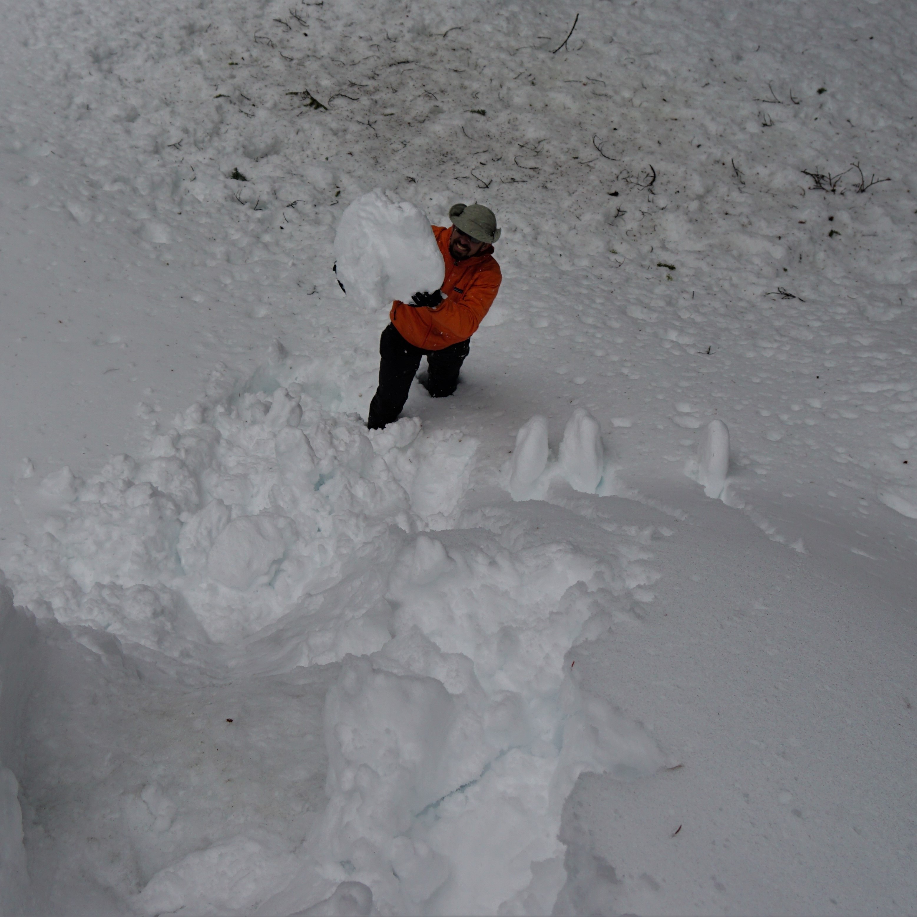 made some snow roses