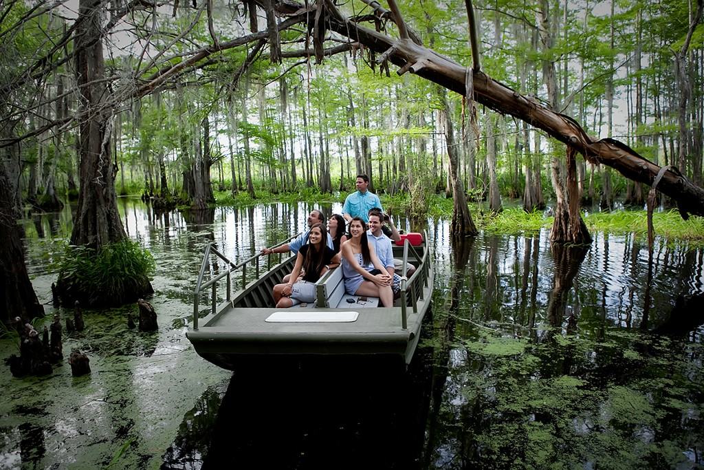 Bayou oaks at city park 1059 filmore avenue, new orleans • 4 mi. Honey Island Swamp Cajun Encounters Swamp Tour Slidell Louisiana