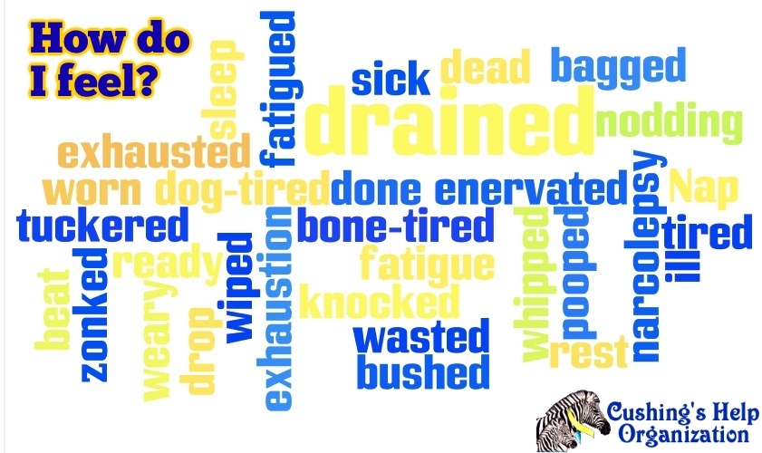 Cushing S Awareness Photos Cushing S Awareness Photos