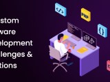 5 Challenges Faced During Custom Software Development And Their