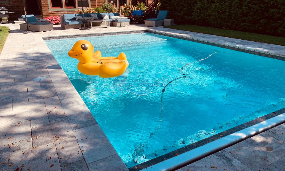 yellow dock in a pool