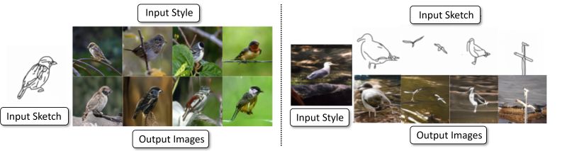 Cusuh Ham - Nature Textures - Elegant High Resolution Collection