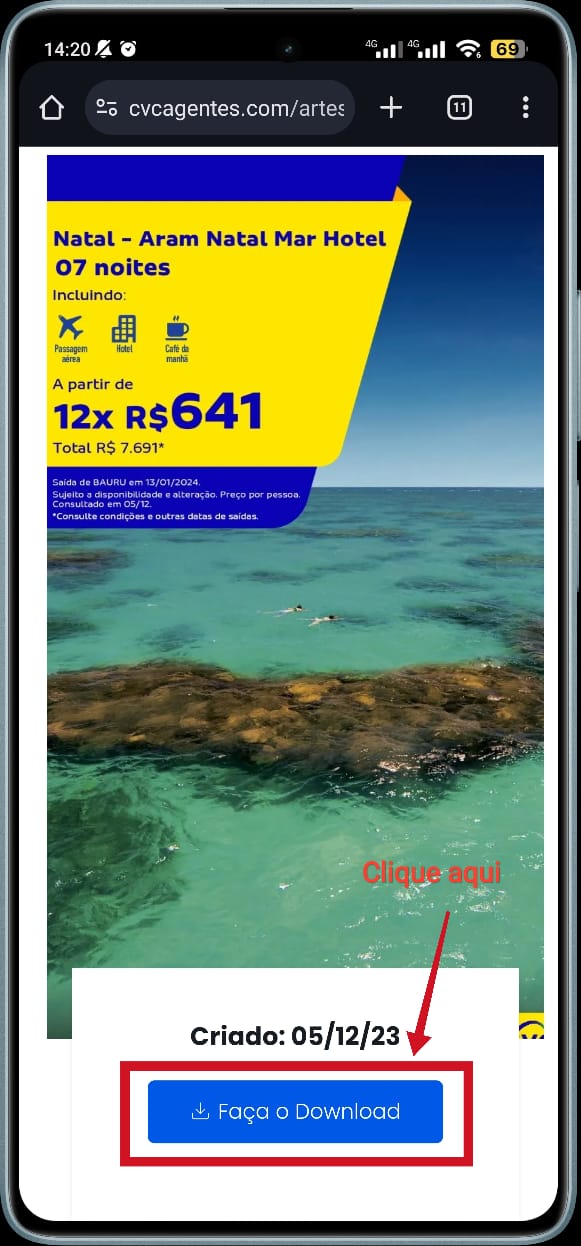 1° Clique na opção Faça o download