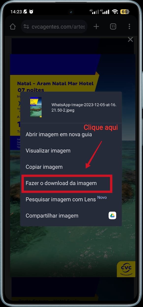 2° Clique na opção Fazer o download do link