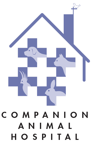 castro valley ca veterinarian - castro valley companion animal hospital on companion pet hospital castro valley
