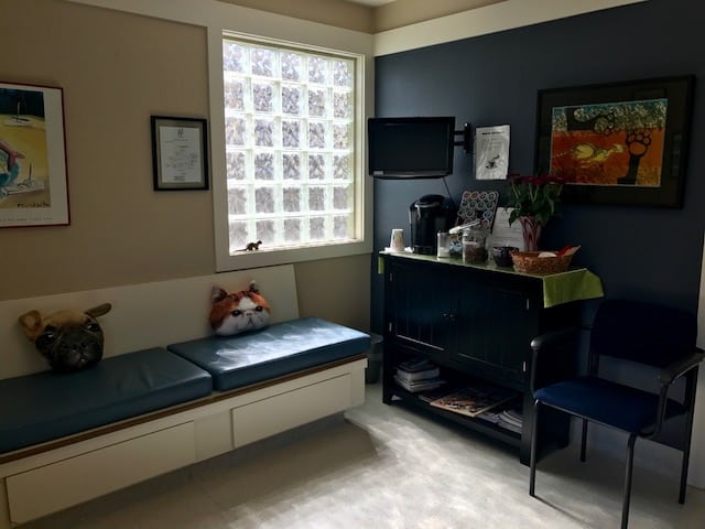 castro valley ca veterinarian - castro valley companion animal hospital on companion pet hospital castro valley