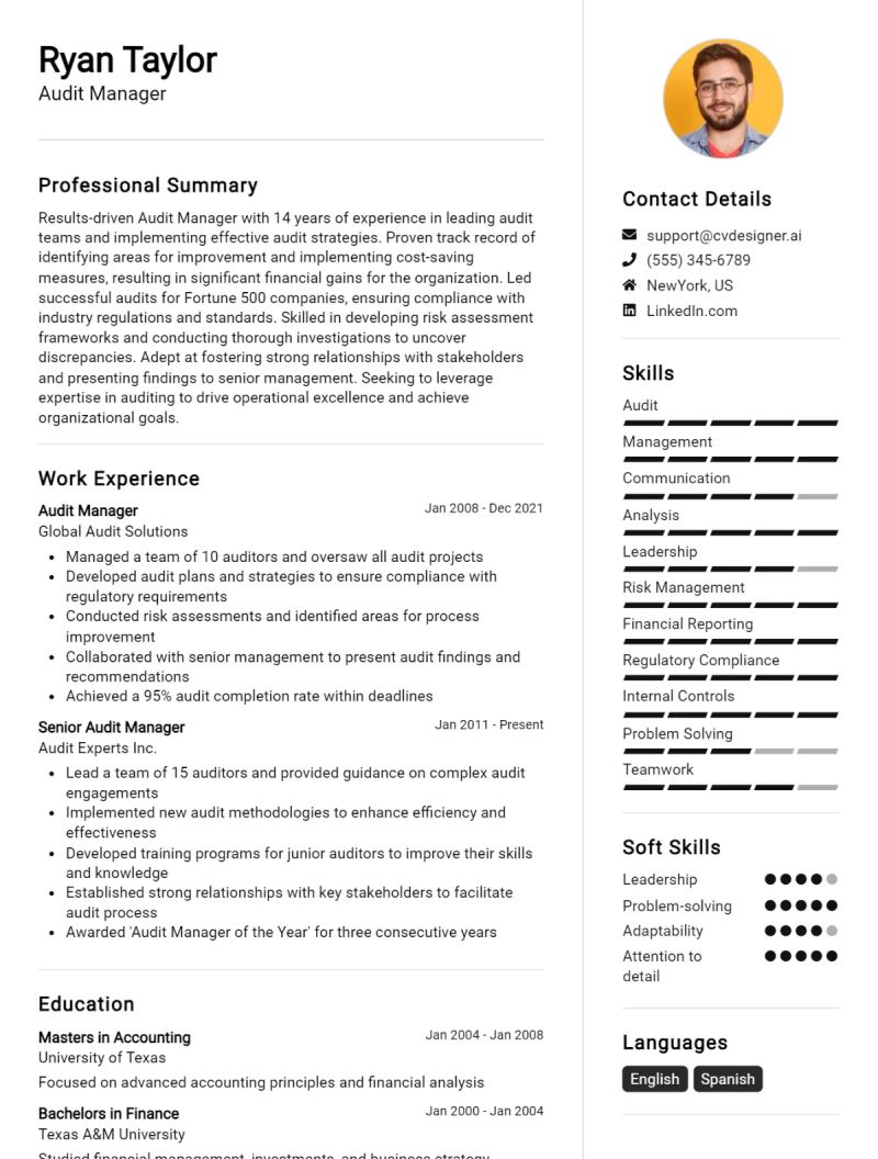 Audit Manager Cv Examples Guide For 2024 - High Quality Vintage Image - High Resolution