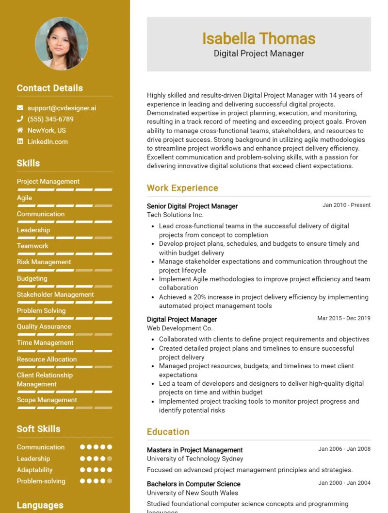 It Project Manager Cv Examples Guide For 2024 - Premium Ultra HD City Illustrations | Free Download