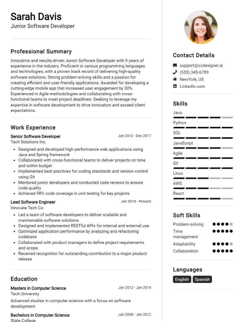 Software Developer Cv Examples Guide For 2024 - Retina Nature Images for Desktop