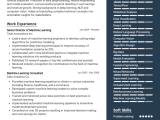 14 Ai Ml Engineer Cv Examples And Templates For 2026 Cvdesigner Ai