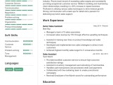 35 Sales Cv Examples And Templates For 2024 Cvdesigner Ai