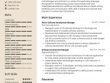 Software Development Manager Cv Example For 2026 Best Formatting Tips