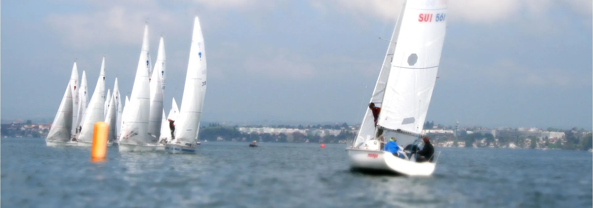 Bienvenue sur le site du Club de Voile de Lausanne