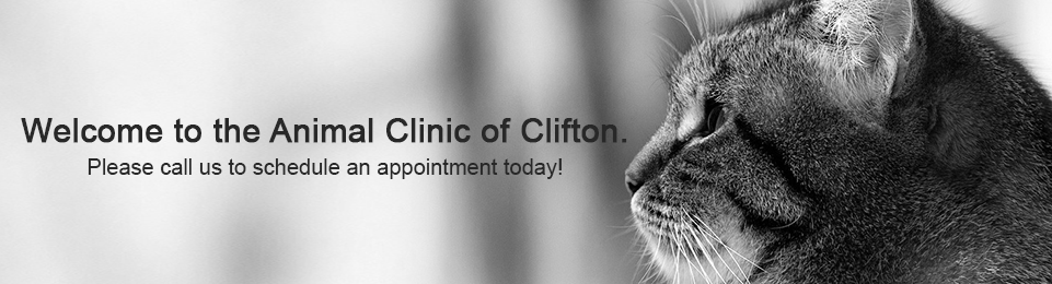 Veterinarians in clifton