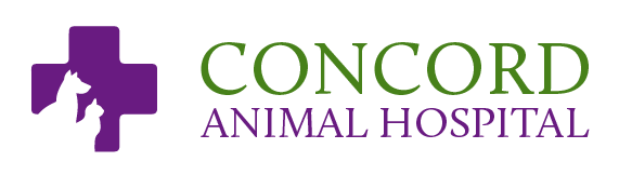 Concord animal hospital st louis