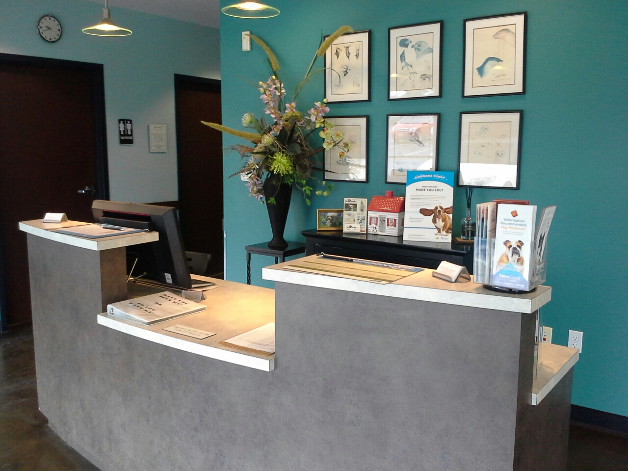 take a tour of our san antonio veterinary hospital veterinarians san antonio tlc pet hospital on tlc pet hospital san antonio