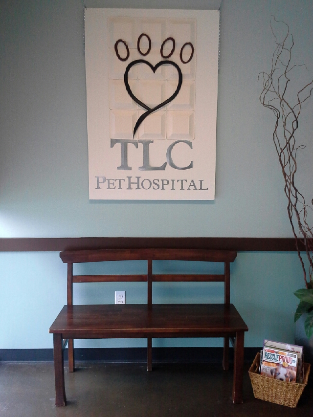 take a tour of our san antonio veterinary hospital veterinarians san antonio tlc pet hospital on tlc pet hospital san antonio