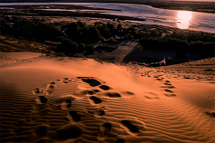 Yellow River wetland