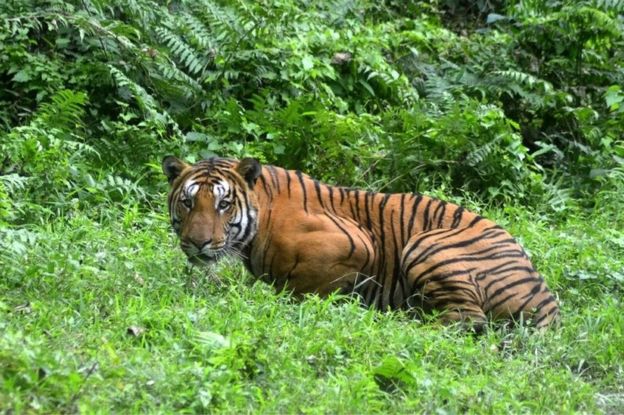 Conservation must be guided by science