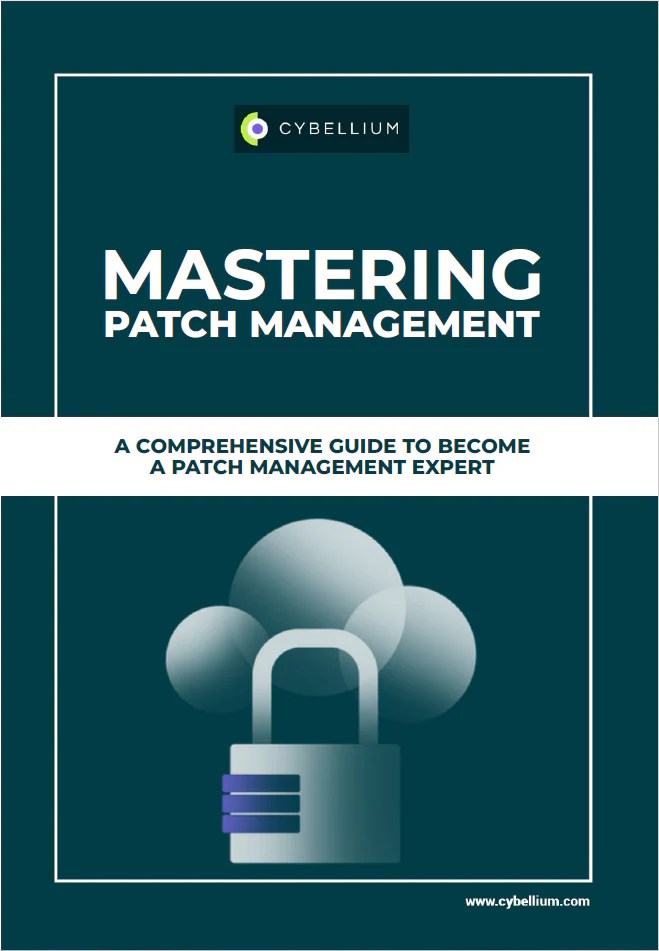 Mastering Patch Management Cybellium