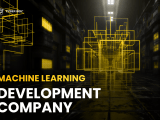 Machine Learning Development Company Services Cyber Bee