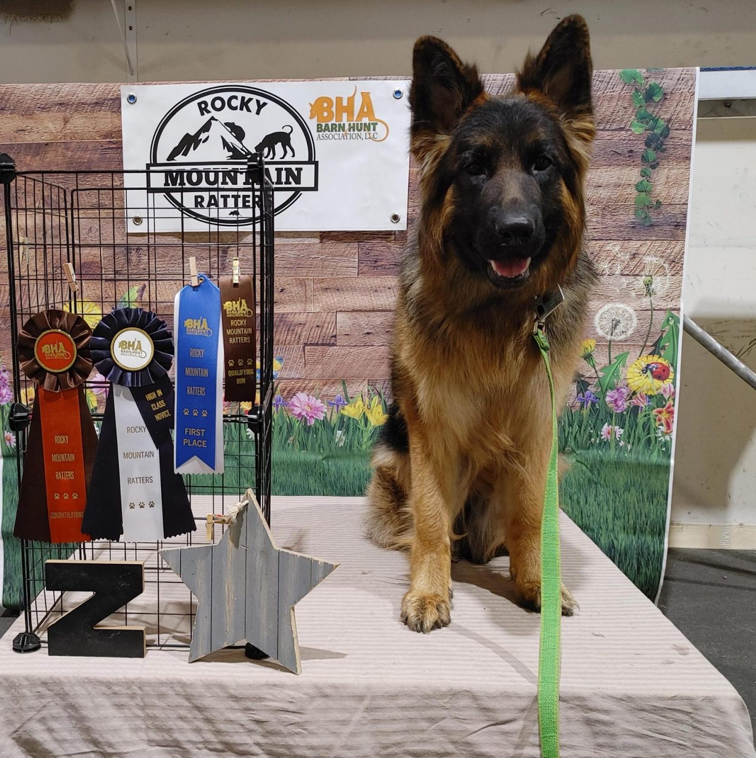 Zoya's Barn Hunt 1St Place