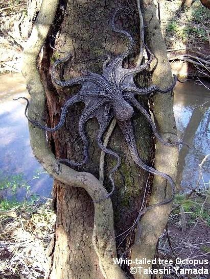 Is the Pacific Northwest Tree Octopus Considered an Endangered Species?