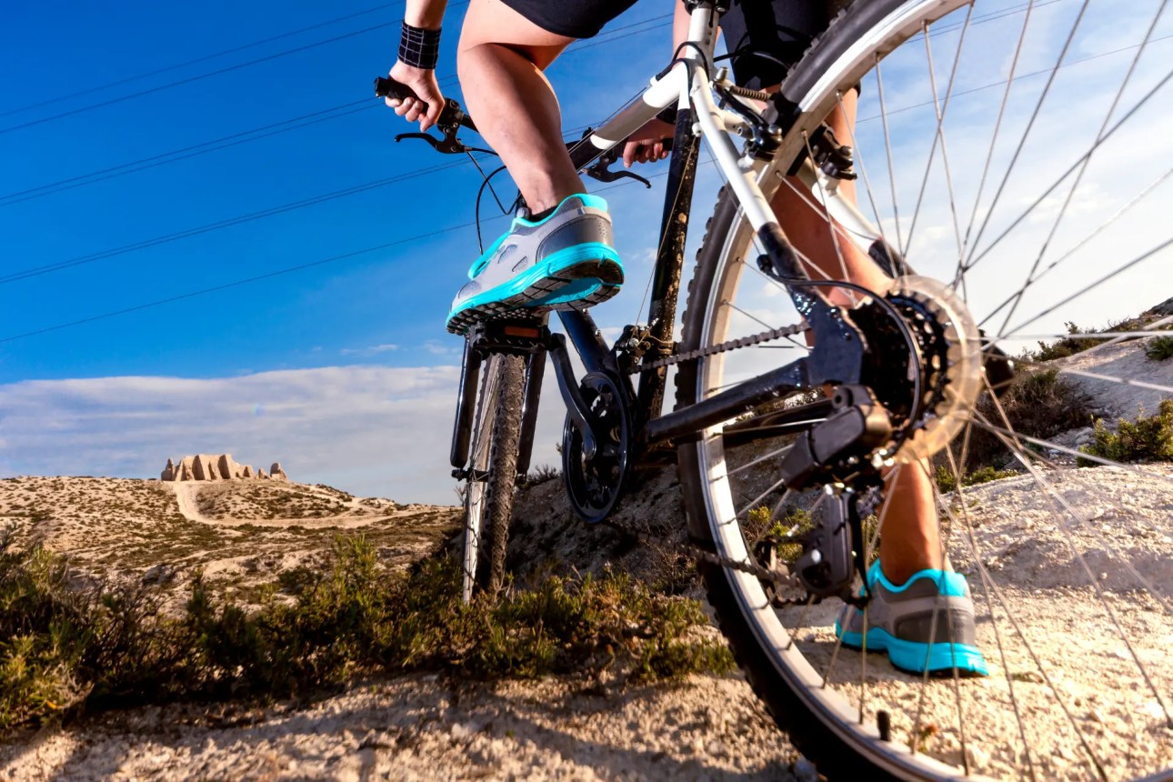 Cycleaddons Bicycle Gear