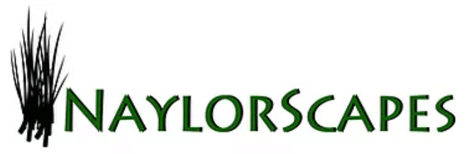 naylorscapes