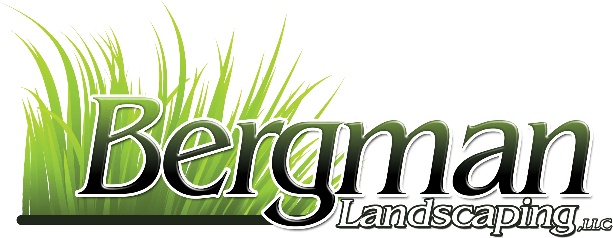 transparent background