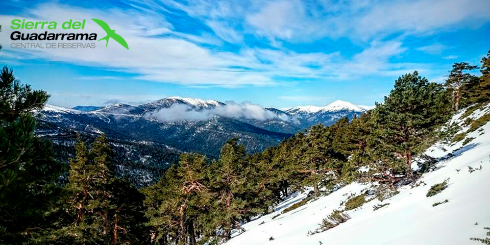 Cyclemadrid Official Website Cycle Touring In The Community Of Madrid