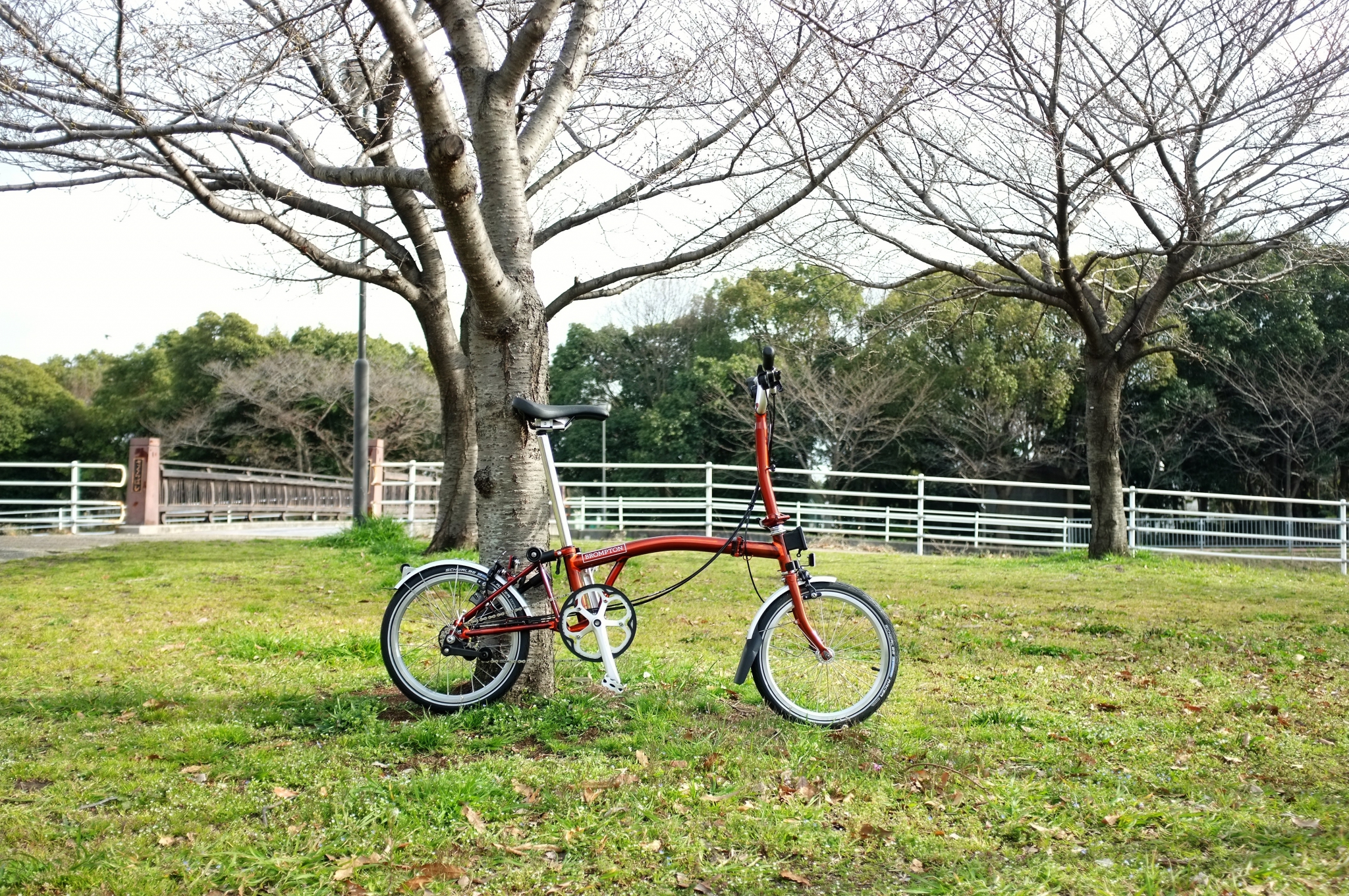 NEW カラー納車 -フレイムラッカー- – cyclemark サイクルマーク