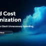 Cloud Cost Optimization: Quick Wins To Slash Unnecessary Spending - Cyrex Enterprise