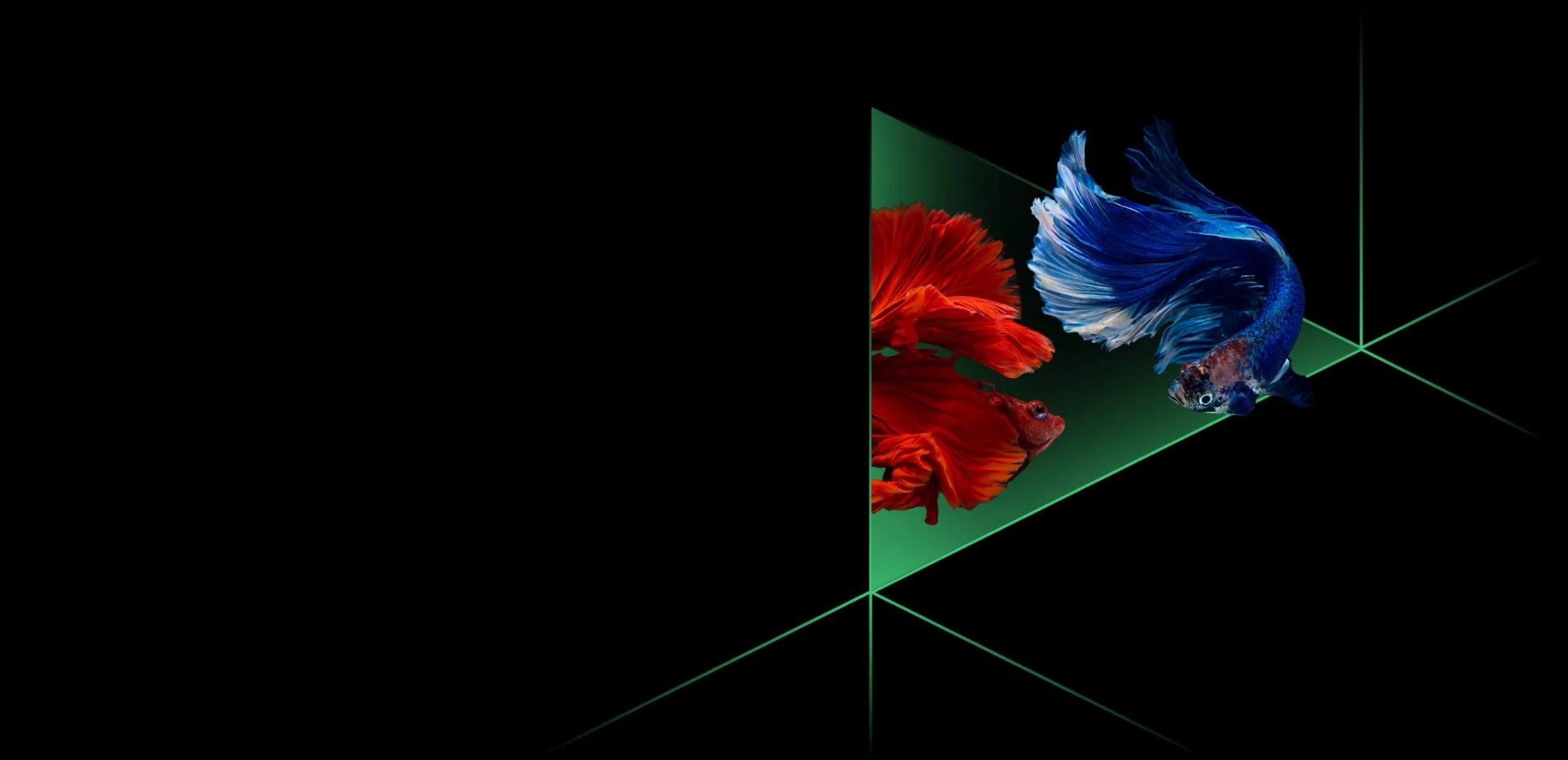 Cyber Incident Exercise Cie Cysiam