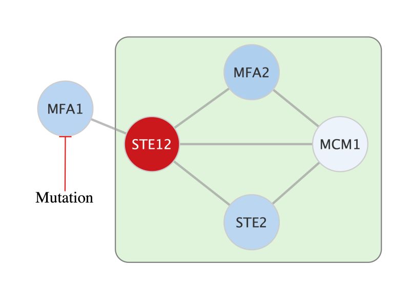 Advanced Visualization Working With Annotations - Desktop Light Backgrounds for Desktop